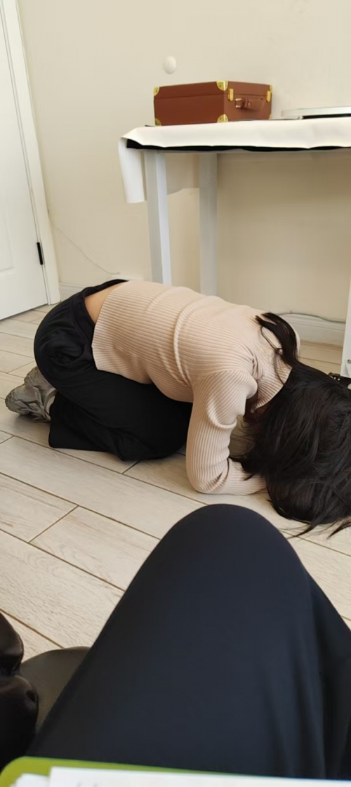 悟心心理咨询荣获 2025年度内蒙古首届《专业心理咨询服务之星》评选活动冠军第8张