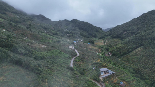 探访下车镇云峰村高峰猕猴桃基地，助力乡村