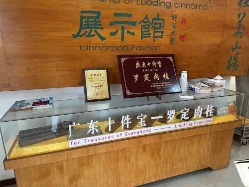 “百千万工程”突击队｜广药大“南桂司晨”突击队：药学中西助振
