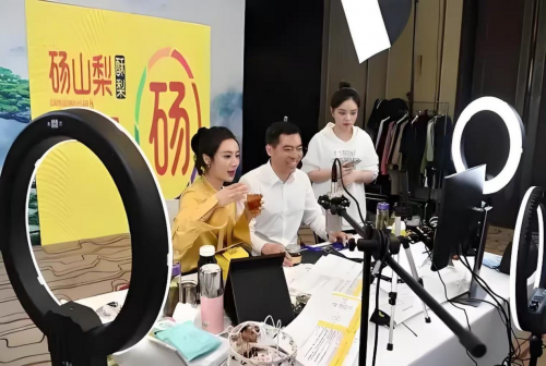 这些国货走红的背后,都有薇娅的身影 这些国货走红的背后,都有薇娅的身影