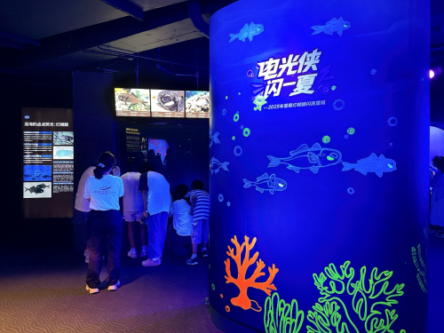 上海海洋水族馆作为全国科普教育基地，于2025年9月举办“2025年灯颊鲷展示暨首个全国科普月系列活动”。