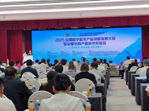 2025全国数字稻米产业创新发展大会暨全国米商产销对接会成功举行