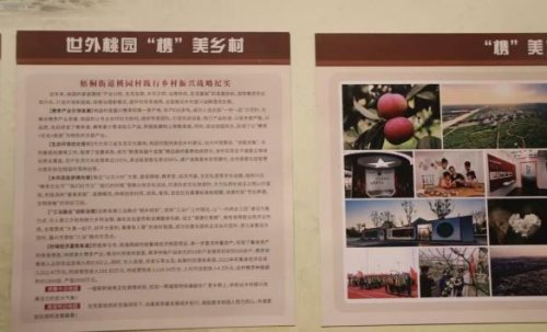 青春力量赋能千年槜李产业，浙经贸学子探寻乡村振兴新路径——“建行裕农通杯”第八届浙江省大学生乡村振兴创意大赛参赛纪实(图3)