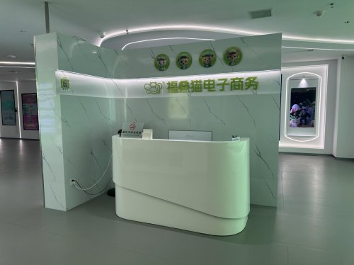 河南福叠猫电子商务获千万级天使投资，中盈顺利布局本地生活新生态
