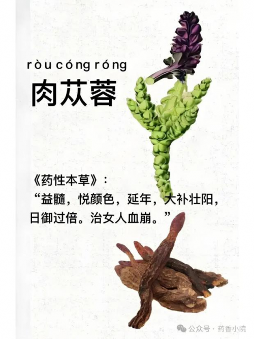 从荒漠到床头：一株草药与产后情绪的漫长对话....