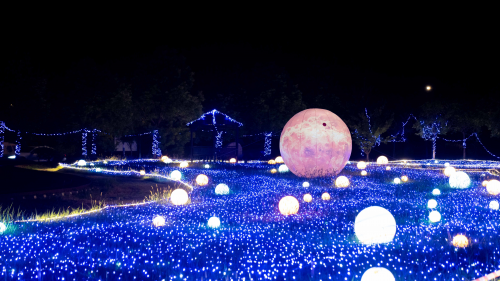 2025邵阳秋季车展9月19日盛大开幕第4张
