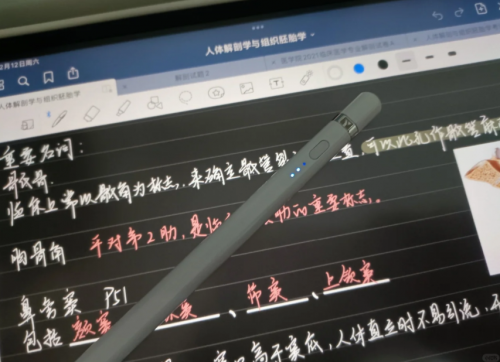 ipad平替电容笔哪个款式好用点？益博思、西圣、wiwu三大热门平替笔推荐！