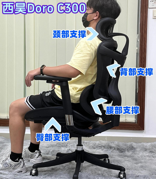 西昊、夏草木、黑白调人体工学椅值得吗?怎么样?专业测评对决!