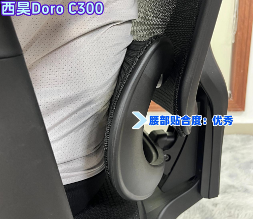 西昊、夏草木、黑白调人体工学椅值得吗?怎么样?专业测评对决!