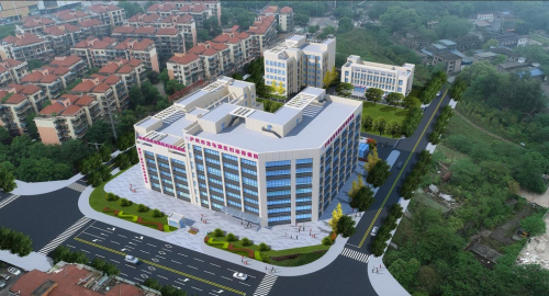 告别多年困扰，龙马潭区妇幼保健院腹腔镜下的新生！(图3)