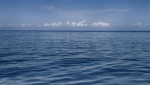 核聚变与艺术的对话：2025年“能源与文明”展览盛大开幕