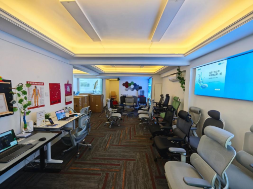 人体工学椅什么样的好?性价比高的人体工学椅推荐指南!