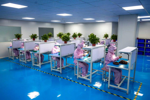 2025年全包覆密封圈供应商技术实力与质量保障成关键——聚焦尼可（青岛）高分子科技有限公司