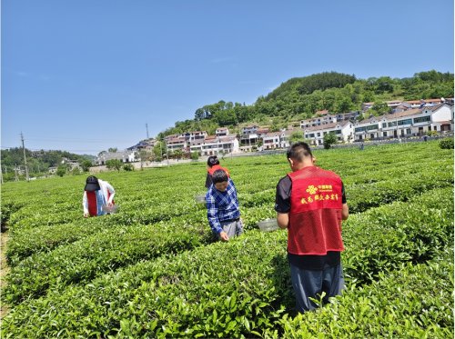 黄冈联通助力乡村振兴，智慧农业显成效