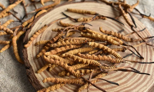 2025年成都正规虫草回收服务TOP3榜单：诚信与专业铸就回收行业标杆