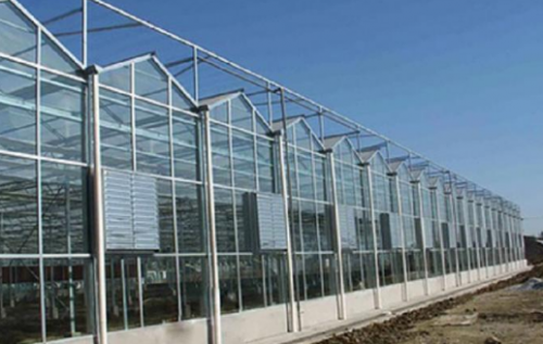 2025年青州玻璃温室报价公司 TOP3权威推荐：品质与口碑双优之选
