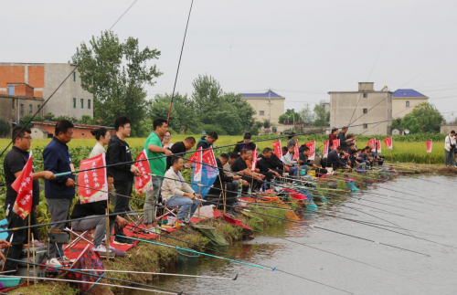 颍上县2025年农民丰收节钓鱼比赛圆满落幕