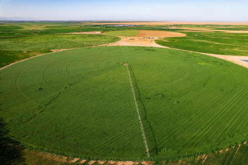 蒙牛乳业凭借科研创新与社会责任获《财富》权威认可 蒙牛乳业凭借科研创新与社会责任获《财富》权威认可