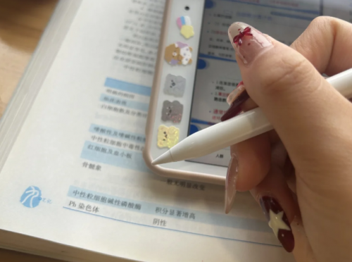 便宜的电容笔伤ipad吗?2025年精选五款性价比最高的电容笔推荐!