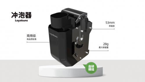 重新定义“轻资产”，Loyalsuns朗立臣变现超值推荐