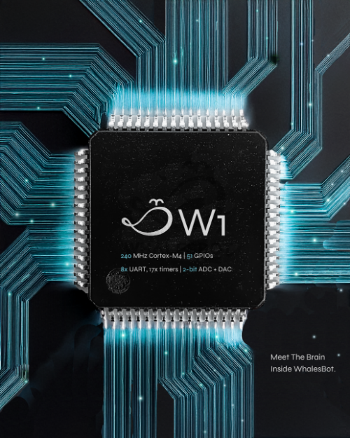 鲸鱼 Pubbo 首发:4-12 岁儿童的 AI 成长伙伴 鲸鱼 Pubbo 首发:4-12 岁儿童的 AI 成长伙伴