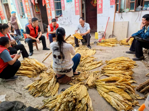 黔西南联通织密乡村网络 助力绘就振兴新图景