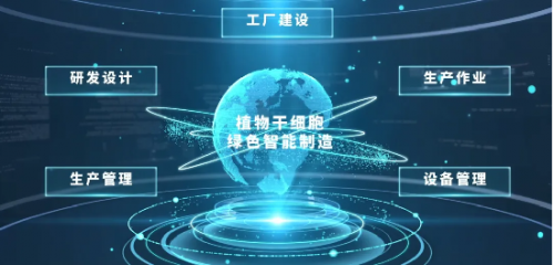 双项省级荣誉！安然集团智能工厂及三大场景获山东官方认证