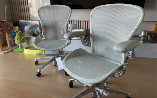 哪个牌子的人体工学电脑椅比较好？2025推荐这10款，好坐又舒适！