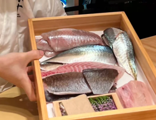 前海人寿商圈打卡小十Omakase；陈琳医生深耕中医院17载践初心