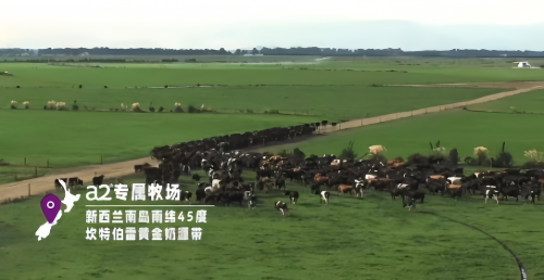 2025转奶期奶粉优选指南：10款高适配奶粉深度测评与科学选奶攻略