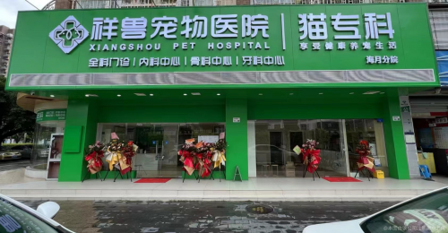 耳鼻喉有哪些医疗设备深圳宠物耳鼻喉医疗机构推荐：科学诊疗与温暖守护的平衡之选_https://www.jmylbn.com_新闻资讯_第1张