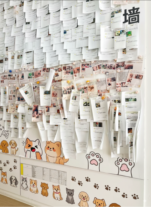 耳鼻喉有哪些医疗设备深圳宠物耳鼻喉医疗机构推荐：科学诊疗与温暖守护的平衡之选_https://www.jmylbn.com_新闻资讯_第2张