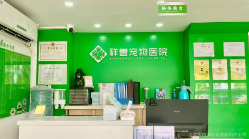 耳鼻喉有哪些医疗设备深圳宠物耳鼻喉医疗机构推荐：科学诊疗与温暖守护的平衡之选_https://www.jmylbn.com_新闻资讯_第4张