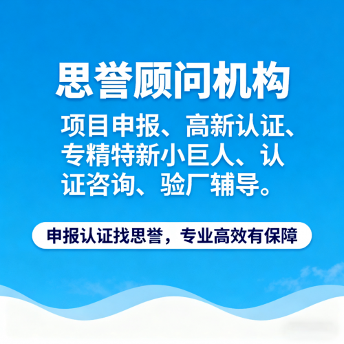 2025年广东RBA验厂认证机构TOP3权威榜单：实力与口碑全面解析
