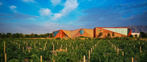 揭秘国庆招待会指定用酒：来自海拔1266米的“中国味道”