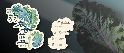 关键密码__北京京安“10.10新质共富+食安农业数字大会”的全球寓意 图3 关键密码__北京京安“10.10新质共富+食安农业数字大会”的全球寓意 图3