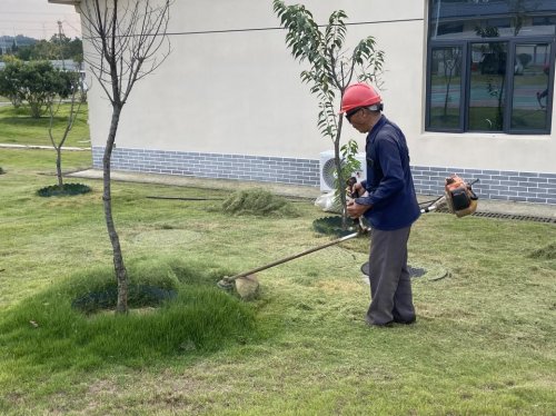 江西交投南康西所：深耕除草“小细节”，筑牢运营安全“大防线”