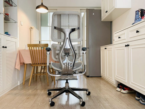 电脑椅子哪个牌子性价比高？人体工学椅十大排行口碑爆款出炉！