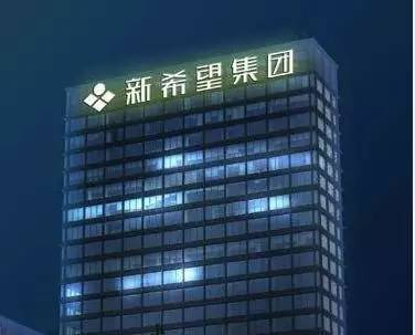 解码新希望：探寻基业长青的秘籍