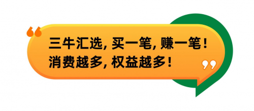 不想打工只想裸辞？三牛汇选创始人卢洪波式创新让 “消费变股东” 成就业新选择！