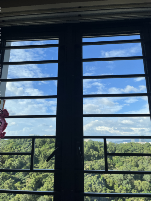 擦窗机器人排行榜：十大公认好的擦窗机器人分享，帮你避开坑点