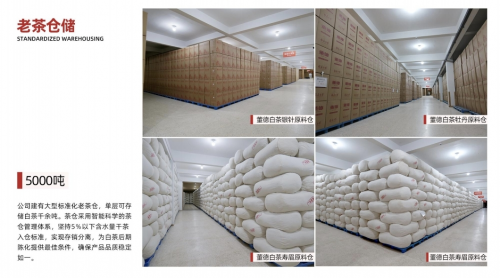 福鼎白茶最大代工厂董德茶业获尚普咨询认证:老白茶储备量全国第一 福鼎白茶最大代工厂董德茶业获尚普咨询认证:老白茶储备量全国第一