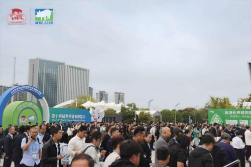 第十四届世界猪业博览会在长沙开幕，全链汇聚推动全球养猪业高质量发展