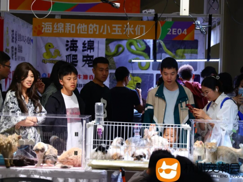 2025杭州宠潮会璀璨收官！新程已启，携手共赴下一场热爱！