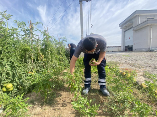 暖心筑家聚合力 文化赋能促发展