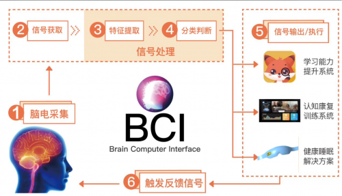 「鹏脑科技」获同创伟业数千万天使轮投资，脑机接口赛道再添新势力
