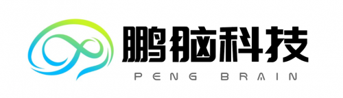 「鹏脑科技」获同创伟业数千万天使轮投资，脑机接口赛道再添新势力