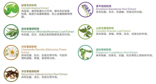 ProCalun卡伦纯天然万用膏,全家的皮肤健康守护第2张-环球新闻网 ProCalun卡伦纯天然万用膏,全家的皮肤健康守护第2张