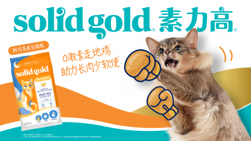 国有国宝，家有萌宝！Solid Gold素力高联名熊猫萌兰，以科学营养守护猫咪肠道健康