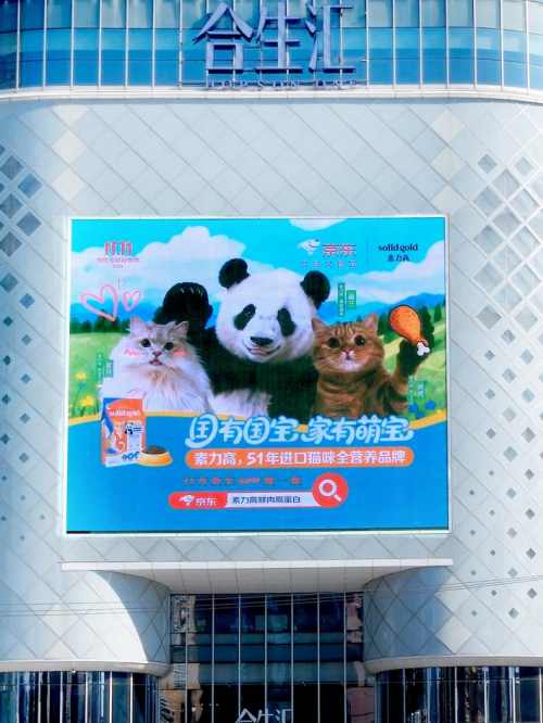 国有国宝，家有萌宝！Solid Gold素力高联名熊猫萌兰，以科学营养守护猫咪肠道健康